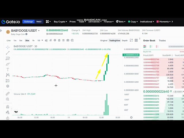 🚀 + 32 % LIVE Baby Doge Coin BABYDOGE Price Prediction - BABYDOGE NEWS - BABYDOGE Price Chart