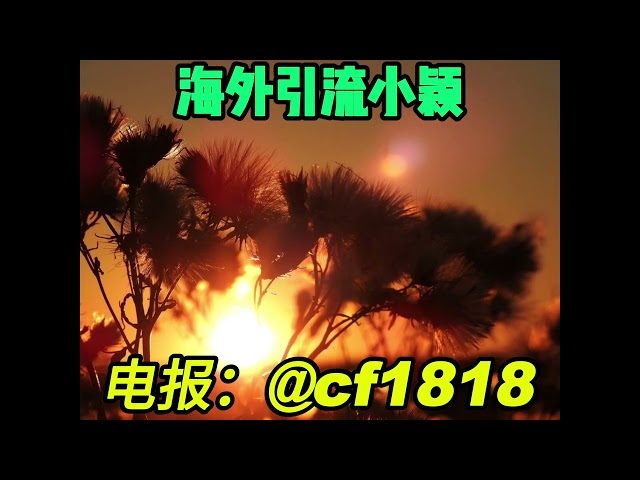 歐美幣圈引流+飛機@cf1818數位貨幣幣圈，每天數千人炒加密貨幣#歐美#巴西#日本#韓國