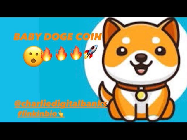 SOLANA의 BABY DOGE 코인! 🔥🚀 투표 통과!! #총독 #솔라나 #eth