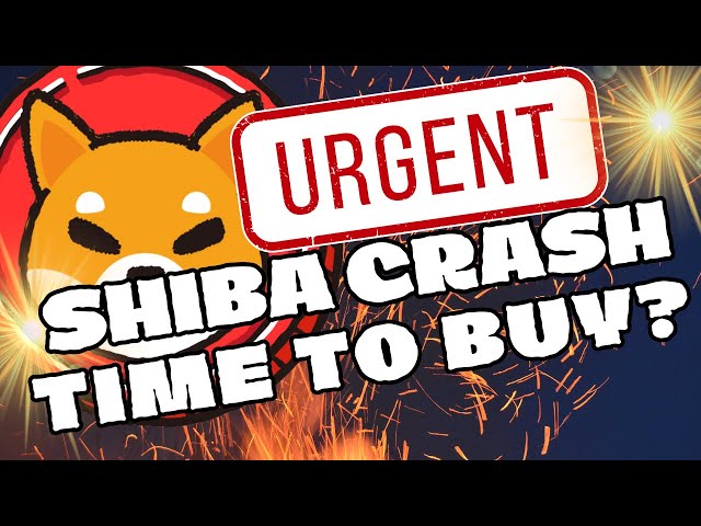 🚀 PREIS DER SHIBA-INU-MÜNZE bricht ein 🤑, KÖNNTE ABER BALD ERHOLEN! DOGECOIN-PREISVORHERSAGE-NEWS 🔥 ETHEREUM