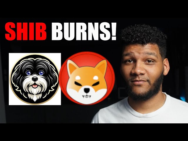 Marvin On Base Could Do Huge Things For Shiba Inu Coin!!! Burning Millions of #SHIB!