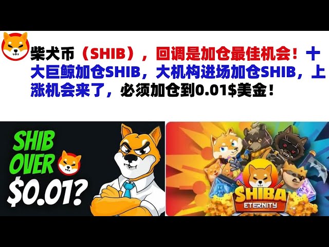 柴犬コイン（SHIB）、修正はポジション追加の最大のチャンス！上位10位の巨大クジラがSHIBでの地位を高め、大手機関がSHでの地位を高めるために市場に参入している