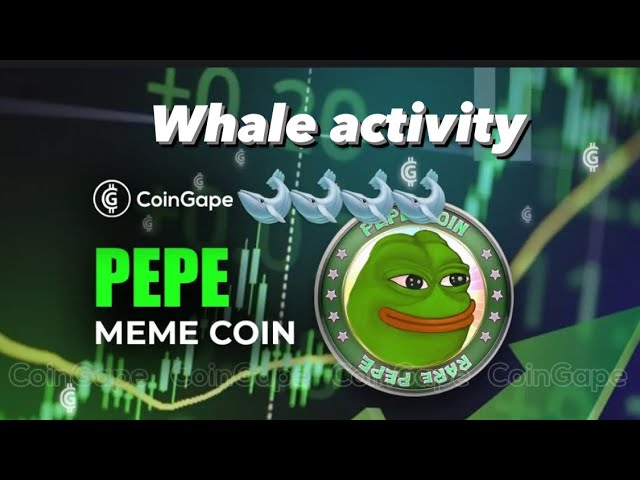 Pepe Coin 🐋 Whale Bags256B 硬币引发乐观情绪，PEPE 价格反弹？ 🚀🚀🚀🚀#加密货币