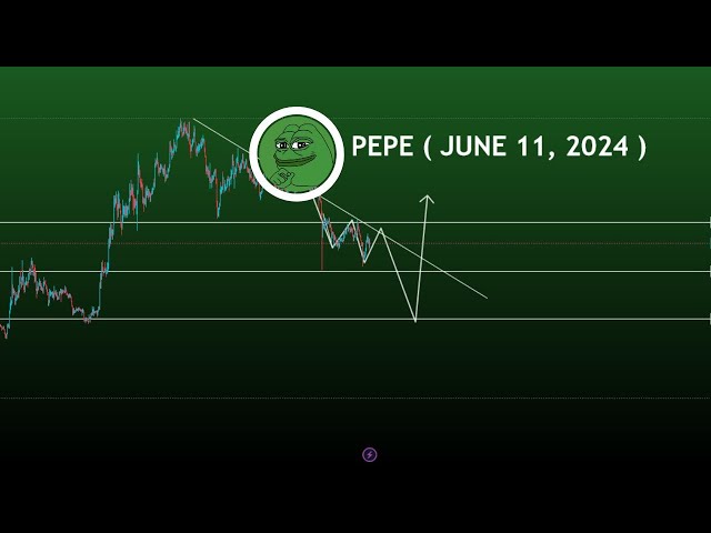 Pepe Coin 价格预测，下一步是什么？ #pepecrypto #pepe #cryptosignals 2024 年 6 月 11 日