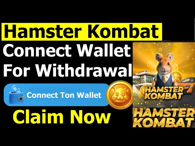 Hamster Kombat 提款 连接您的 Ton 钱包 - 领取 करें