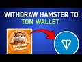 Hamster_1 _coin_Hamster token withdyinto Ton wallet