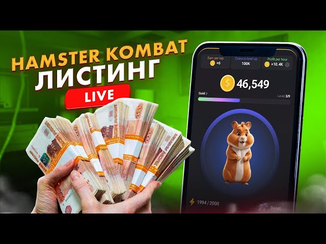 Glacière HAMSTER KOMBAT / Notcoin / TOP INVESTISSEMENT EN JUIN 2024