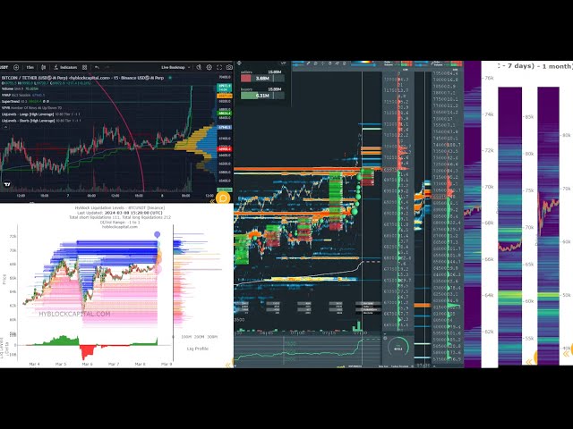 #btc #perp #live #bookmap #hyblock #liquidations #bitcoin