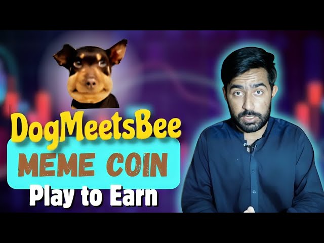 NEW MEME TOKEN DOG MEETS BEE REVIEW IN ENGLISH | PRESALE TOKEN | DOG MEETS BEE WILL NEXT 100X COIN !