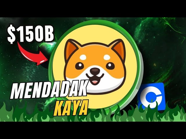 BOOOOOOOOOM‼️ SELAMAT DATANG BABY DOGE COIN