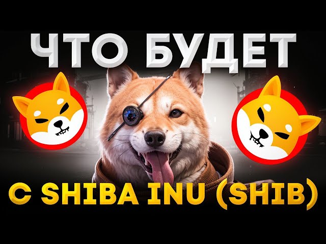 🟠 IS SHIBA INU PREPARED TO FALL? Current SHIB Forecast | Shiba Inu Coin | Shiba Forecast 2024