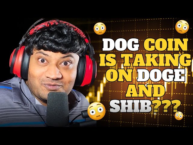 DOG COIN이 DOGE와 SHIB을 상대하고 있나요???🤯