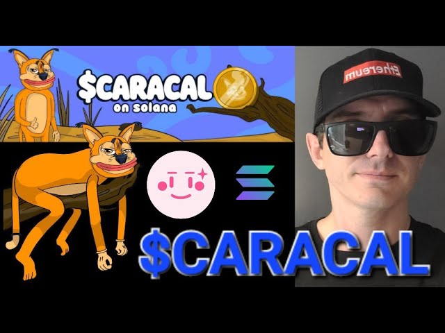 $CARACAL - CARACAL 代币预售加密货币 如何购买 SOL SOLANA CAT MEME RAYDIUM JUPITER PINKSALE