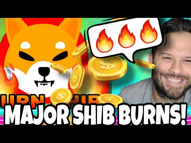 Shiba Inu Coin | SHIB Burns Are Soaring And This Metric Indicates People Are Buying The Dip!