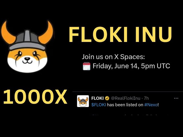 Floki Inu 今日新闻 |列表 |弗洛基伊努 $1 |今天有重大消息发布