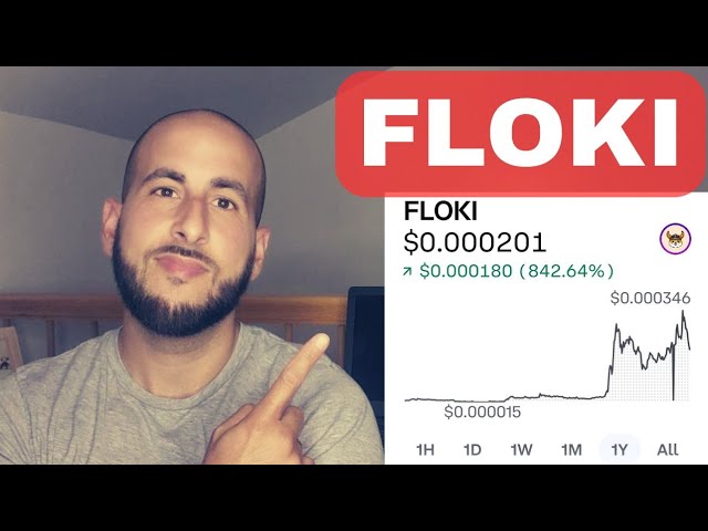 Floki - LA VÉRITÉ | Manipulation en crypto