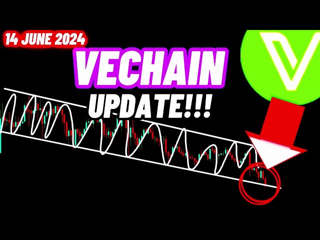 Mise à jour du prix Vechain VET Crypto Coin !!! | 14 juin 2024