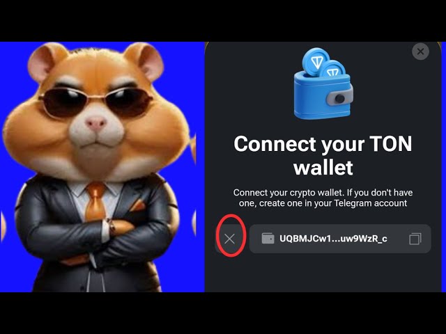 Comment déconnecter et connecter le portefeuille TON avec Hamster Kombat Token Airdrop