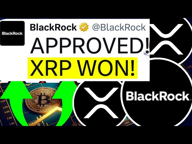 XRP 리플: BLACKROCK의 파괴된 섹션! 우리는 이것이 필요합니다! - 현재 리플 XRP 뉴스