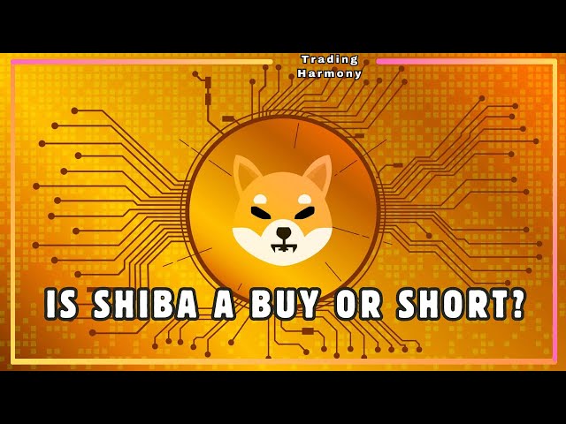 総合的な柴犬コイン（SHIB）テクニカル分析と価格予測