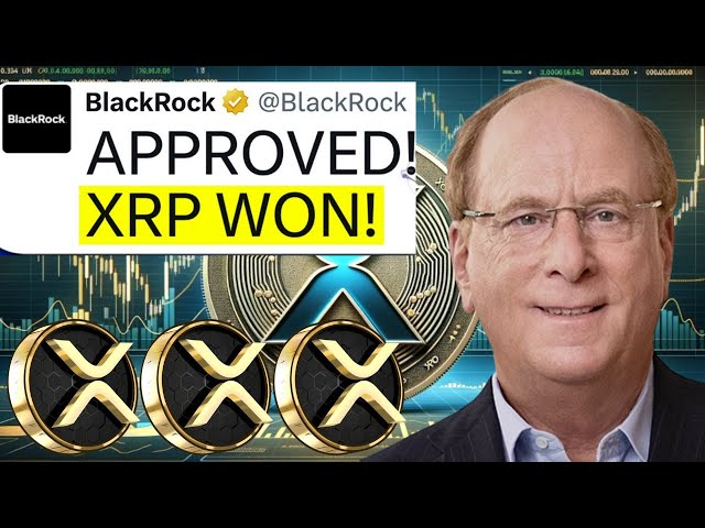 BLACKROCK DESTROYED SEC! THIS IS WHAT WE NEED! - RIPPLE XRP NEWS TODAY