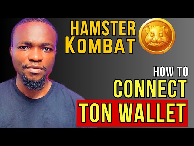 Hamster Kombat - 如何连接/重新连接钱包 ||将 TON 钱包连接到 Hamster Kombat ||矿业