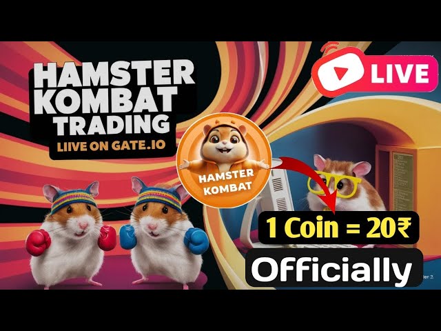 Hamster kombat coin price | hamster kombat Live trading started | Onchain wallet link #hamsterkombat