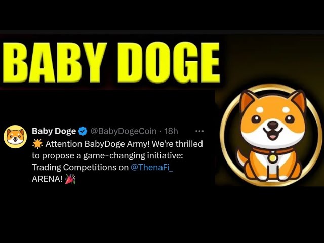 Actualités Baby Dogecoin aujourd'hui | 3 milliards brûlés | Pompe à prix des pièces BabyDoge 100x | Liste Binance