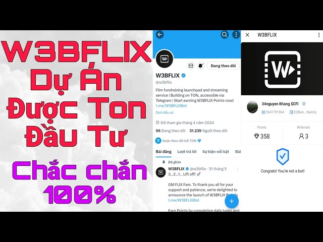 W3BFLIX Potential Project Is Constantly Mentioned By Ton Investment