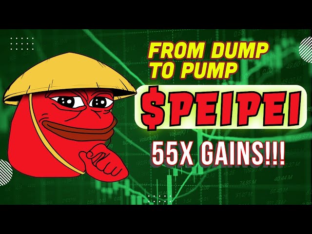 Chinese Pepe Token Hits $110 Market Cap! Buy $PeiPei Coin Now!