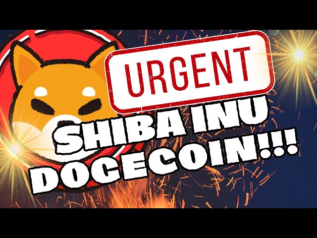 🚀 MISE À JOUR DE LA PRÉVISION DU PRIX DES PIÈCES SHIBA INU 🔥 NOUVELLES DES PRIX DOGECOIN ETHERUEM VA EXPLOSER ! MEILLEURES CRYPTO