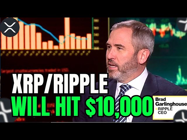 Ripple XRP News: Two Major Announcements from Brad Garlinghouse and David Schwartz at XRPL Apex!