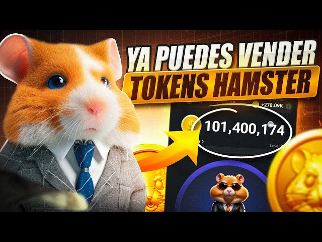 🔴Das wäre der Preis des Hamster-Kombat-Tokens bei der Auflistung!🔴Lassen Sie sich nicht auslassen