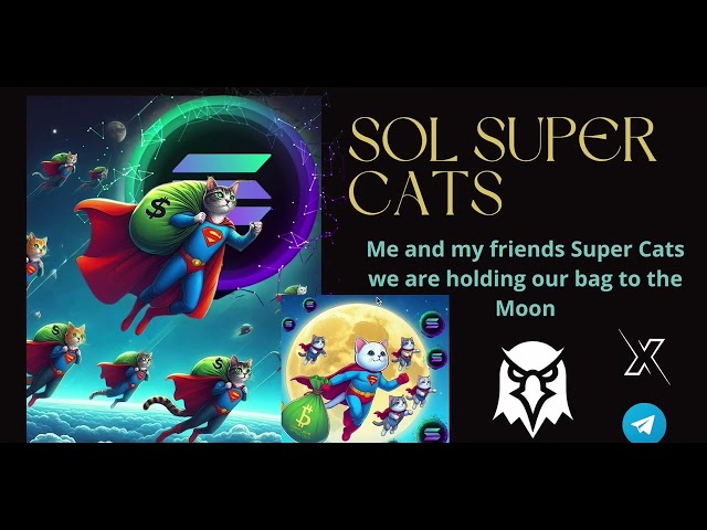 SOL SUPER CATS SURVIVED THE RAYDIUM RAIDS / NEW MEME COIN 1000X