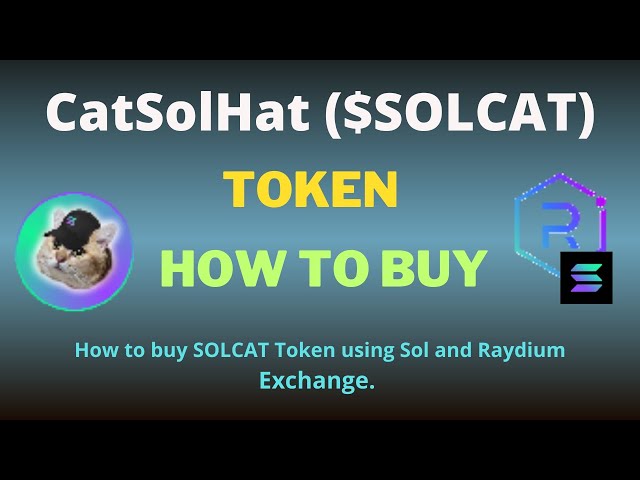 Raydium Exchange 및 SOL을 사용하여 CatSolHat(SOLCAT) 토큰을 구매하는 방법