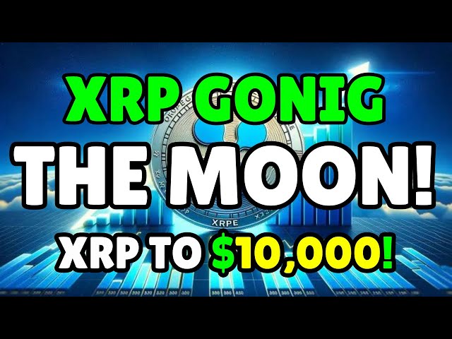 XRP Ripple: Major Wealth Is Awaiting Those With More Than 1000 XRP!