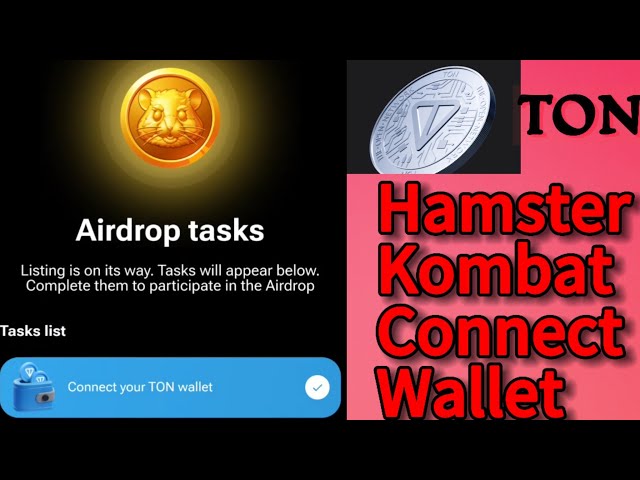 Hamster Kombat mining Connect Ton Wallet (TON Wallet の接続方法) Hamster ゲームトークン Airdrop