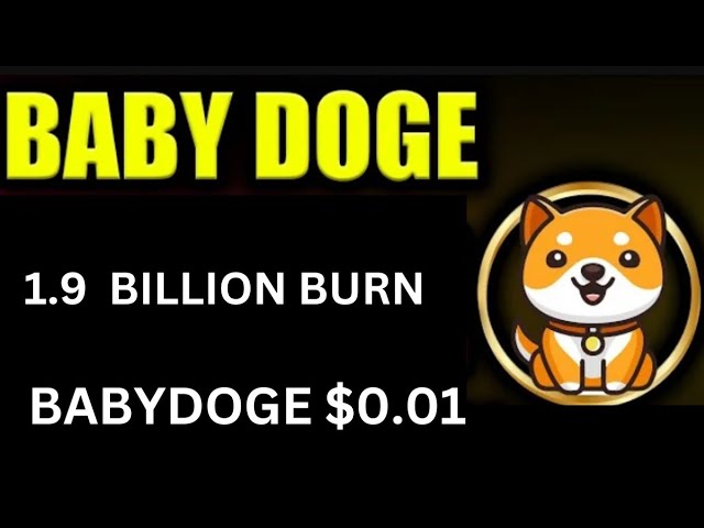 Baby Dogecoin News Today | 1.9 Billion Burning | BabyDoge Coin Price Pump | Binance Listing