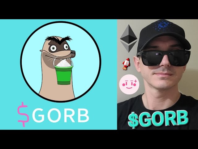 $GORB - GORB TOKEN PRÉVENTE CRYPTO COIN COMMENT ACHETER SEAL MEMECOIN ETH ETHEREUM BLOCKCHAIN ​​PINKSALE NOUVEAU