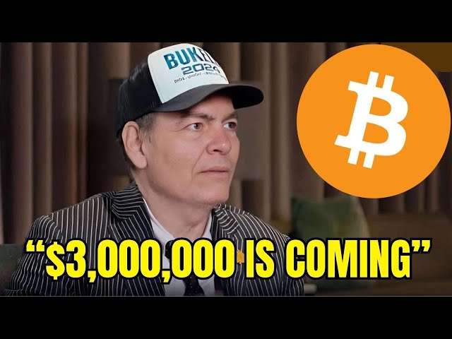 「1 ビットコインが 300 万ドルの価値を持つ仕組みは次のとおりです」 - MaxKeiser