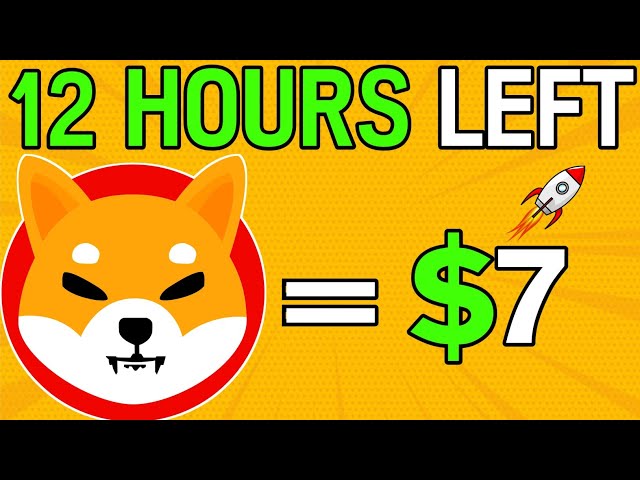 RÉVÉLÉ! Shiba Inu EXPLOSERA à 7 $ ! - EXPLIQUÉ - Shiba Inu Coin News Aujourd'hui