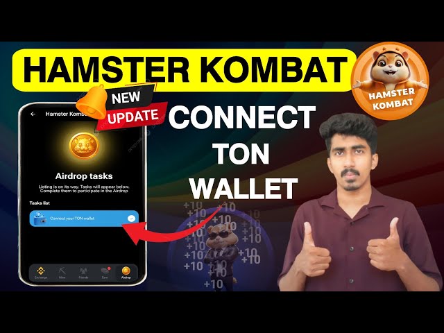 Hamster kombat Connet votre portefeuille TON | Hamster Kombat Nouvelle mise à jour | Combat de hamsters malayalam