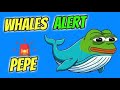 LA RAISON DU DÉCLIN DU PEPE COIN A ÉTÉ COMPRISE : DE BINANCE ET DES PLUS GRANDES BALEINES...🚨 DERNIER ARRÊT POUR PEPE PRICE ?🚨