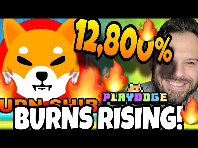 Shiba Inu Coin | SHIB Burns Are Surging! Will The Price Follow? Playdoge Selling In A Down Market!