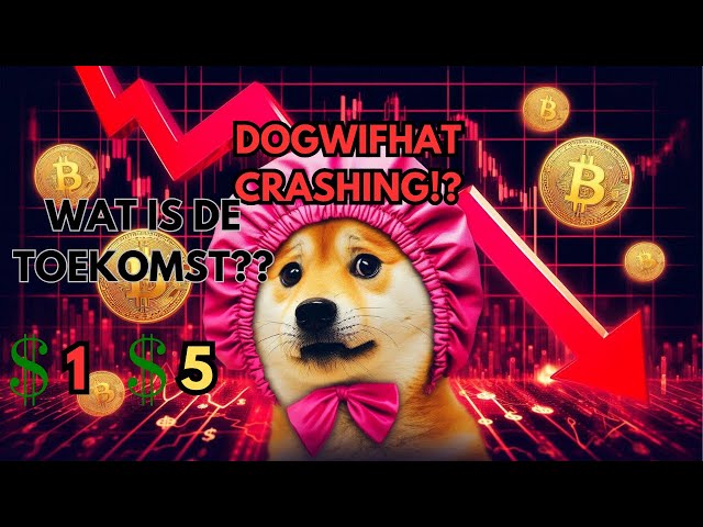 立即出售所有 $WIF！ DOGIFHAT 硬幣跌至 0 美元！ $WIF 更新