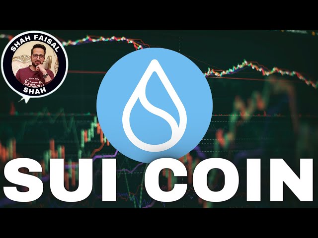 截至 2024 年 6 月 21 日的 Sui Coin (SUI) 價格預測