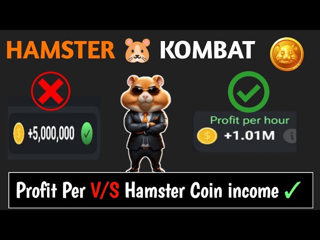 Hamster Kombat Coin vs 時間当たりの利益 Hamster Kombat の出金トン口座と上場日