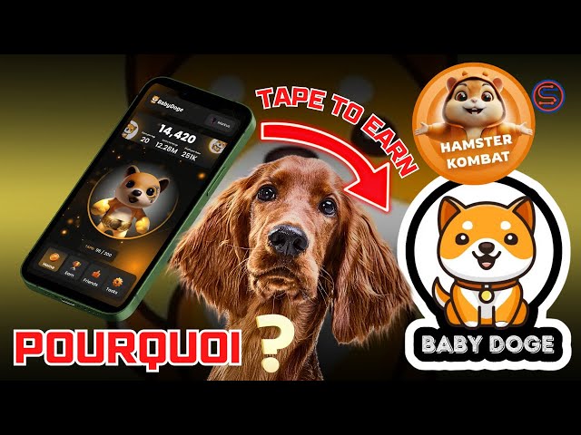 Pourquoi BABY DOGE COIN souhaite lancer une mini-application TAP TO EARN comme HAMSTER KOMBAT ?