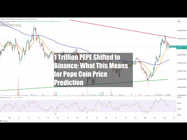 1 Trillion PEPE Shifted to Binance: What This Means for Pepe Coin