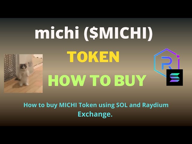 Raydium ExchangeとSOLを使用したmichi（MICHI）トークンの購入方法